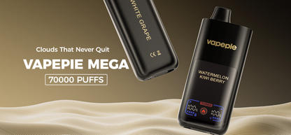 VAPEPIE MECA 70000 PUFFS